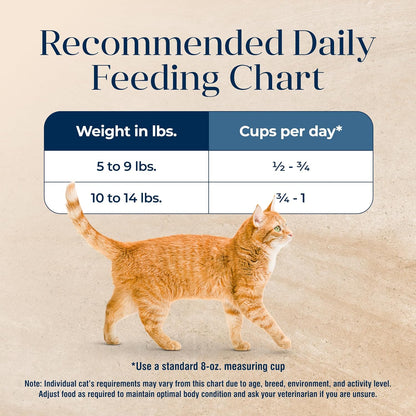 Basics Limited Ingredient Diet Grain Free, Natural Indoor Adult Dry Cat Food