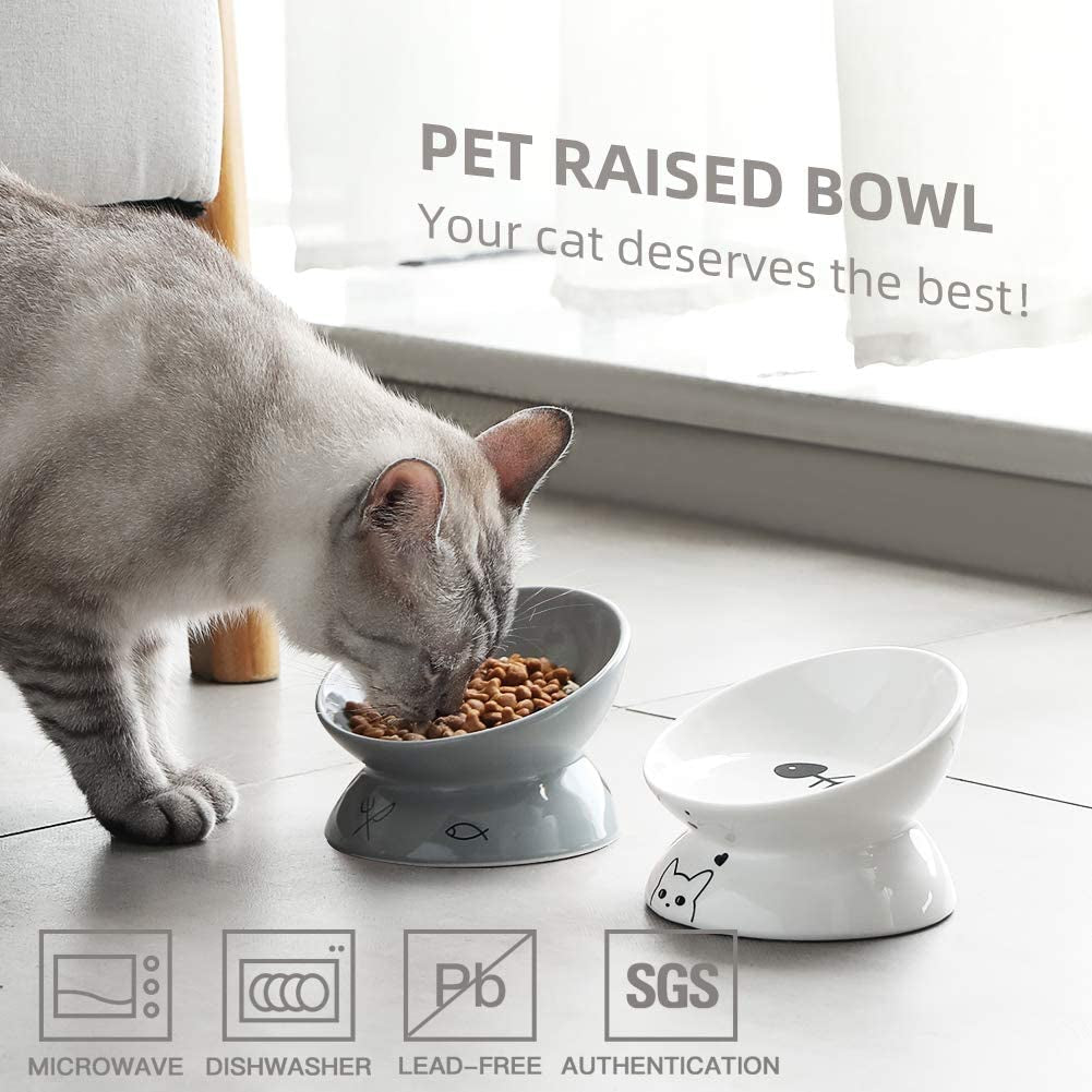 Raised Cat Bowl for Dry Wet Cat Food, Ceramic Elevated Pet Bowl Cat Dish, Protect Cat'S Spine, Stress Free, Slanted Design for Cat Easy Eating, Dishwasher Safe